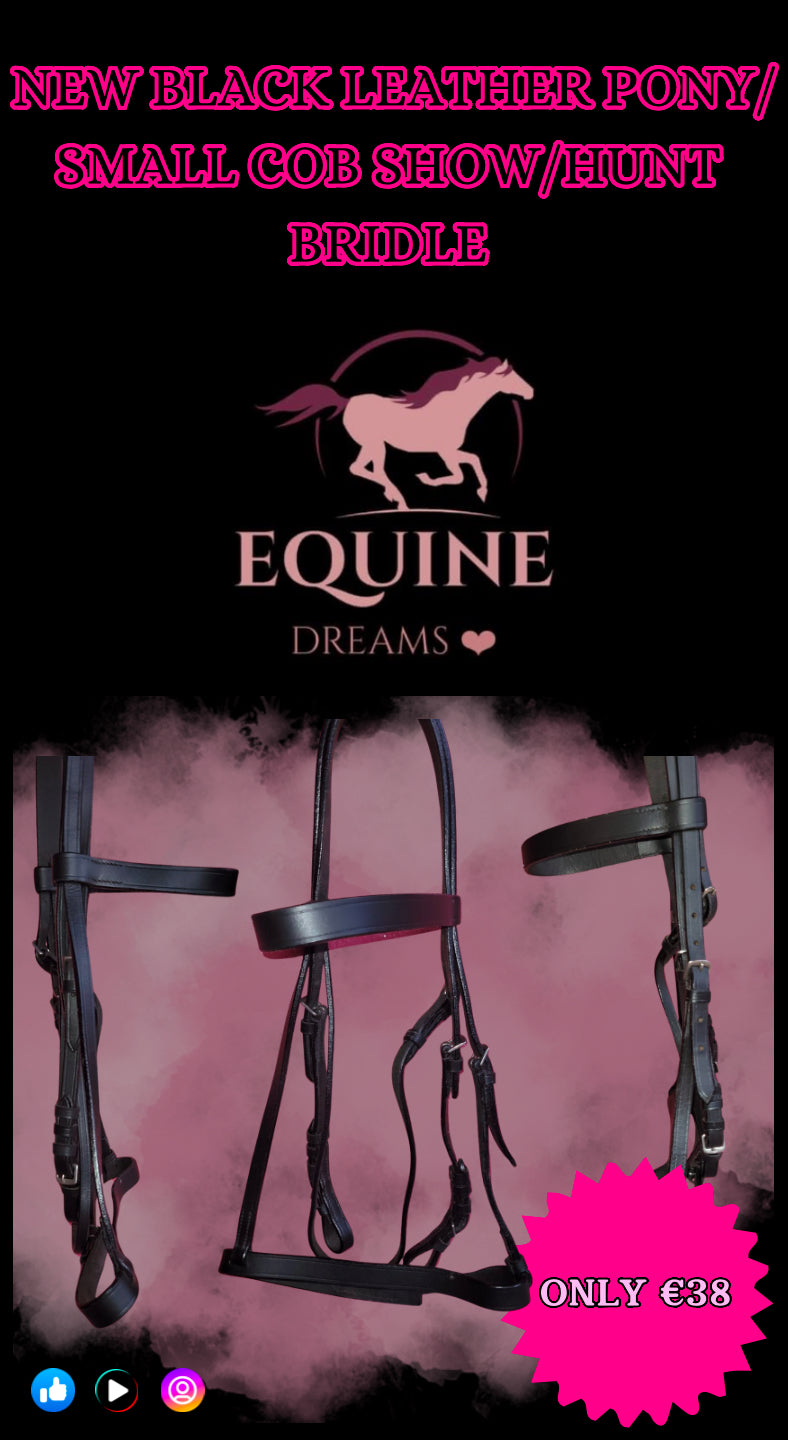 ✨ Beautiful Black Leather Show/Hunt Bridle – Pony/Small Cob ✨