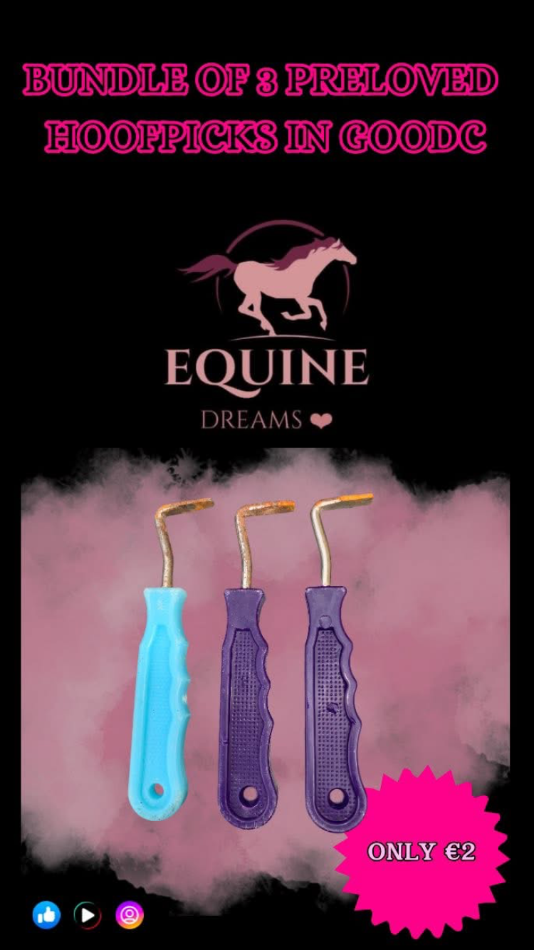 🧰 Bundle of 3 Preloved Hoof Picks – Good Condition 🧰
