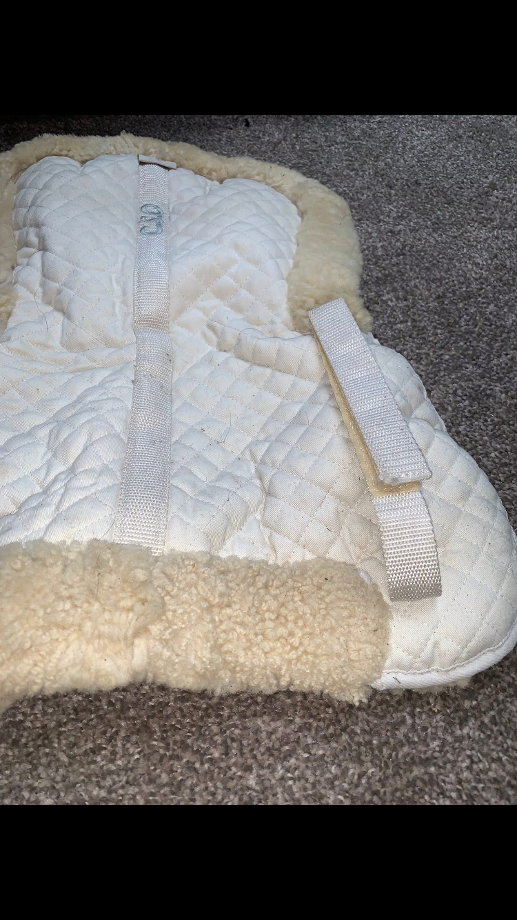 ๐ Preloved White Sheepskin Half Pad โ Size Pony/Cob ๐
