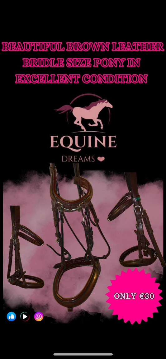✨ Beautiful Brown Leather Norton Bridle – Size Pony ✨