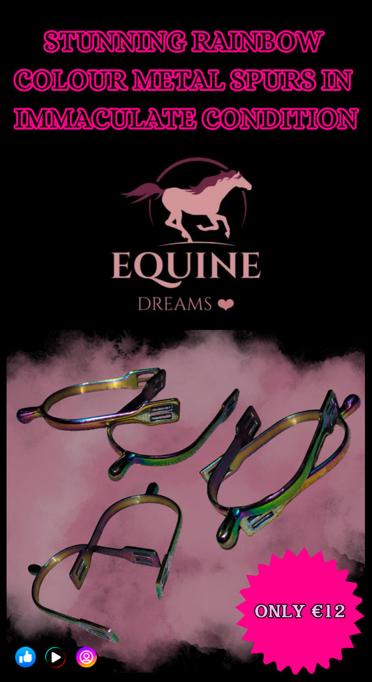 ✨ Beautiful Rainbow Coloured Metal Spurs ✨