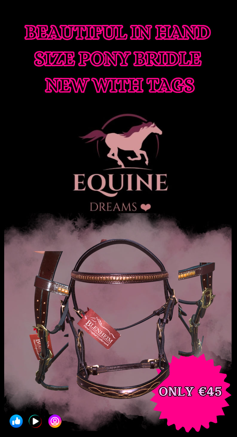 ✨ Stunning Brand New Shires In-Hand Bridle – Size Pony ✨